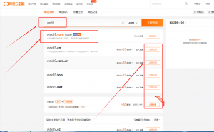 简单适合不会编码小白建网站前准备 |  域名  空间插图5